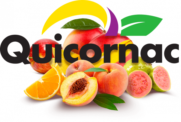 logo-quicornac